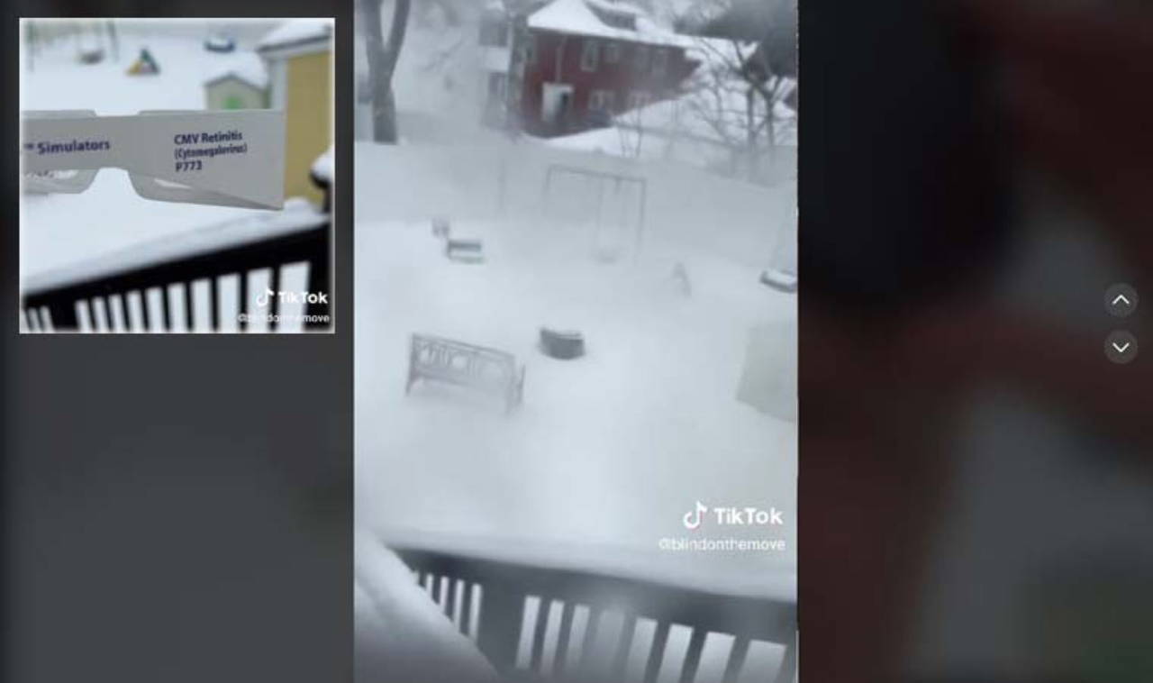 Görme engelliler dünyayı nasıl görür?