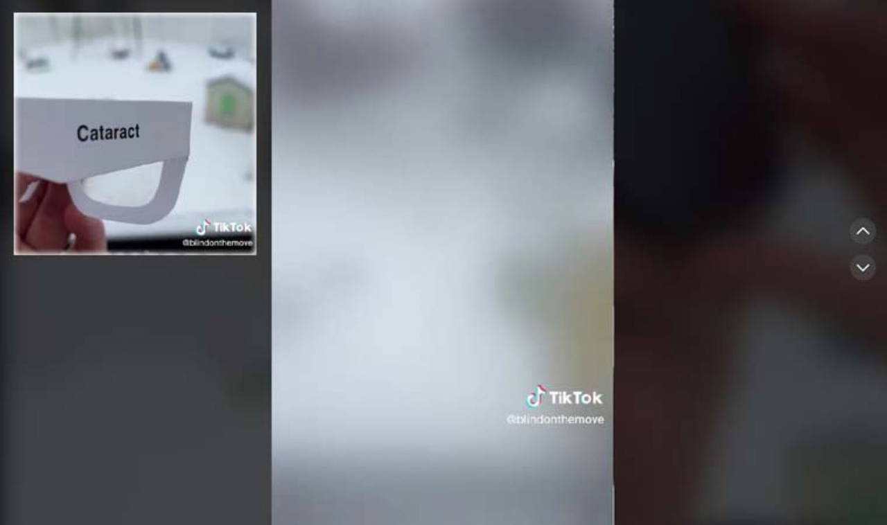 Görme engelliler dünyayı nasıl görür?