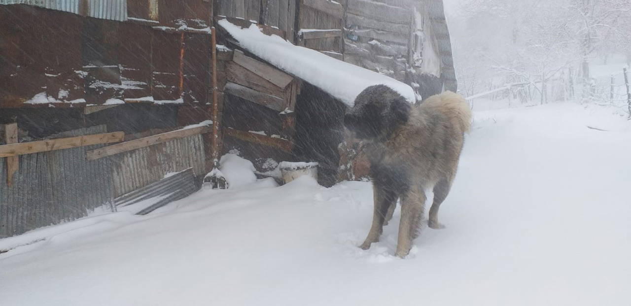 Türkiye kar yağışı ile uyandı! İstanbul, Ankara, Eskişehir ve Bolu'dan kar manzaraları