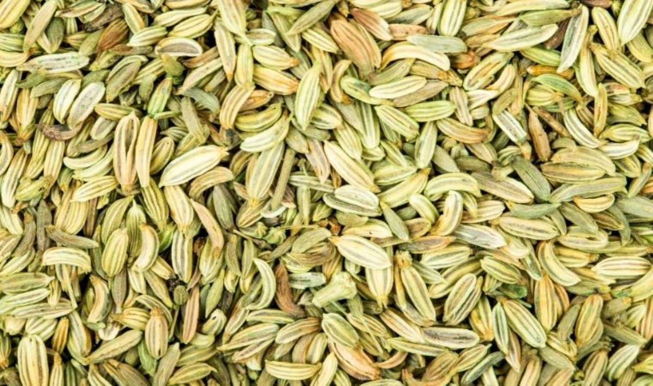 Rezene nedir? Rezene çayı faydaları nelerdir? Rezene çayı zararları nelerdir? Rezene çayı nasıl hazırlanır?