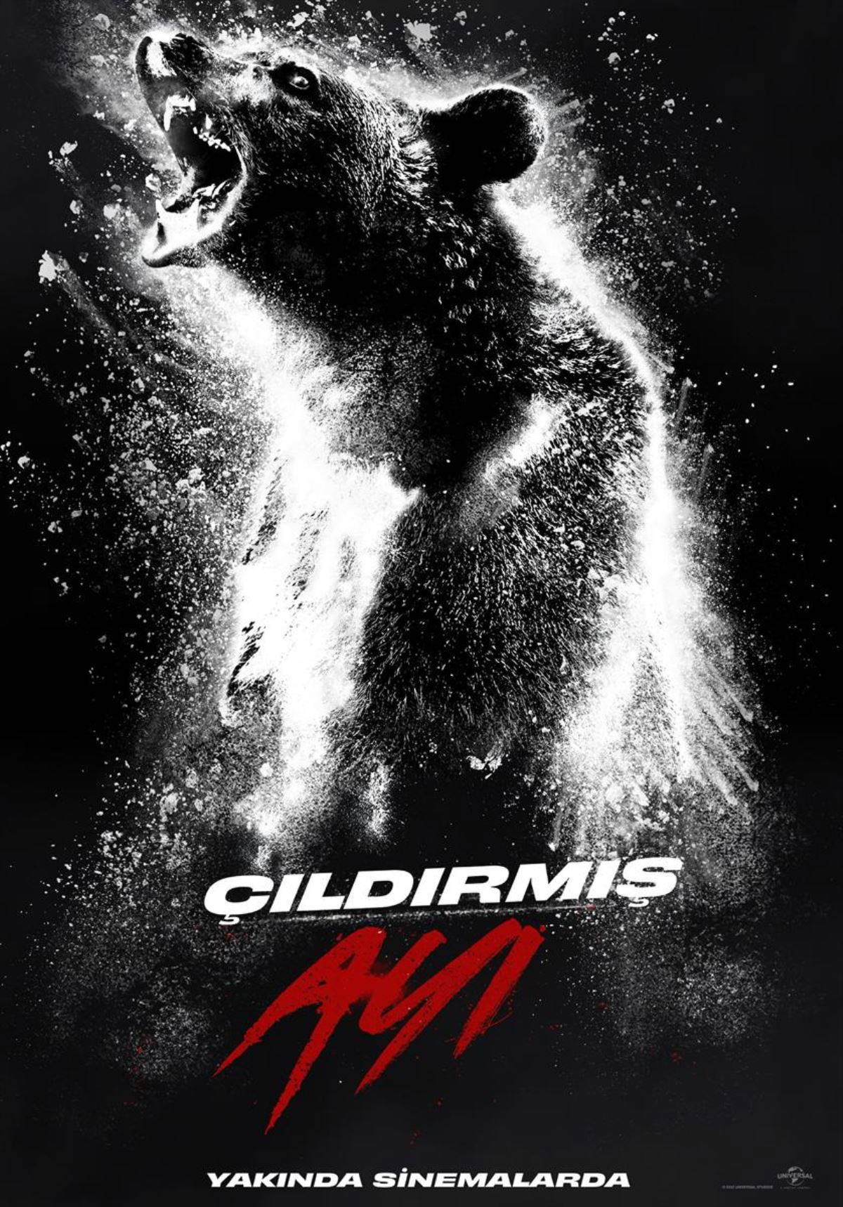 Bu hafta hangi filmler vizyona girdi?