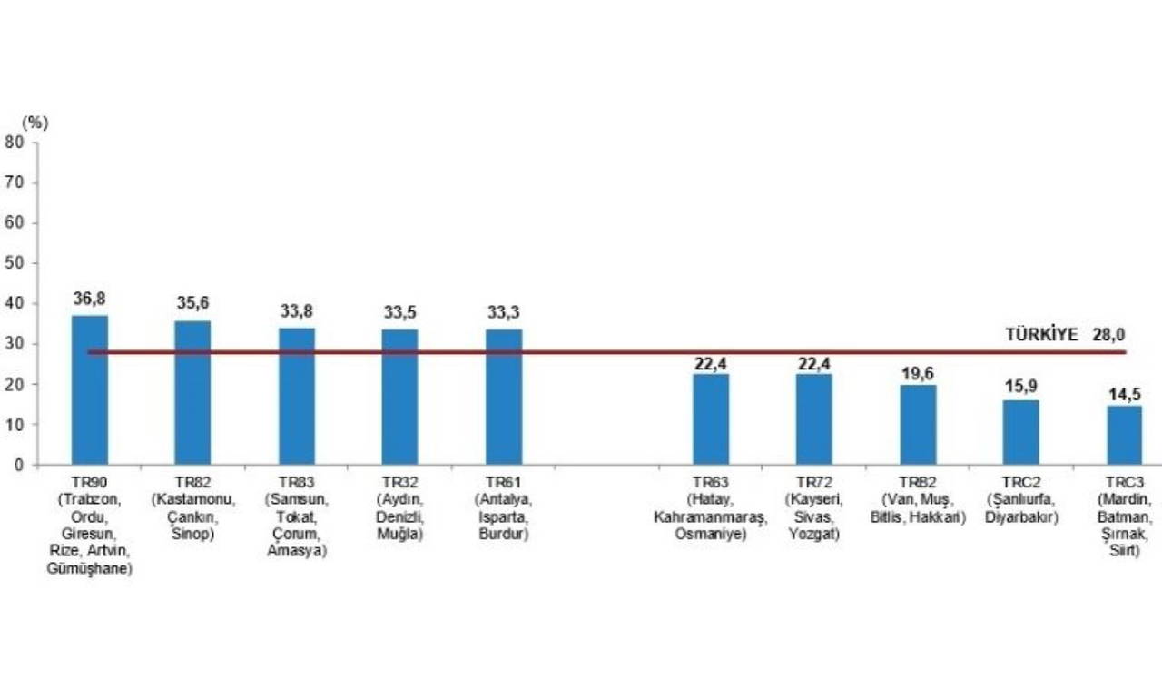 Türkiye nüfusunun yüzde kaçı kadın? Türkiye'de en çok kadın hangi ilde çalışıyor? Türkiye'de kadın milletvekili oranı kaç?