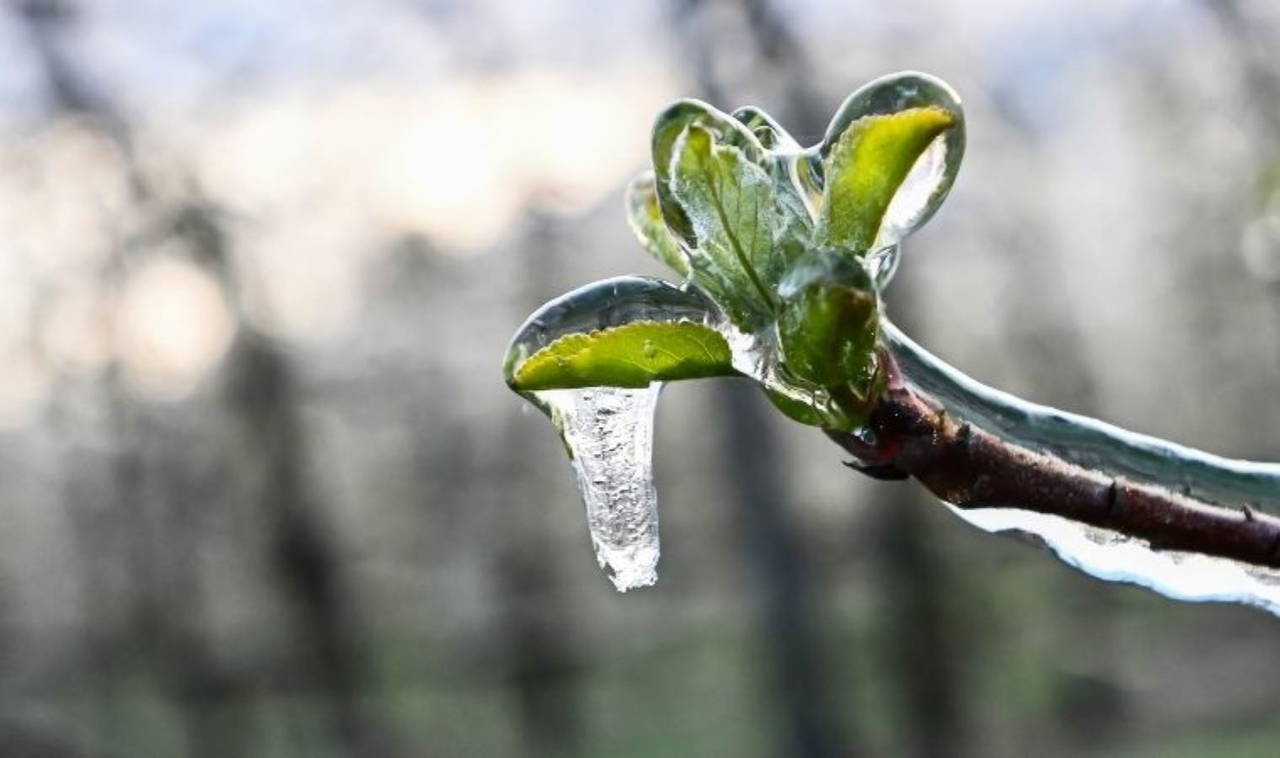 İtalya'ya gelen kutup havasına çözüm olarak buz koruması!