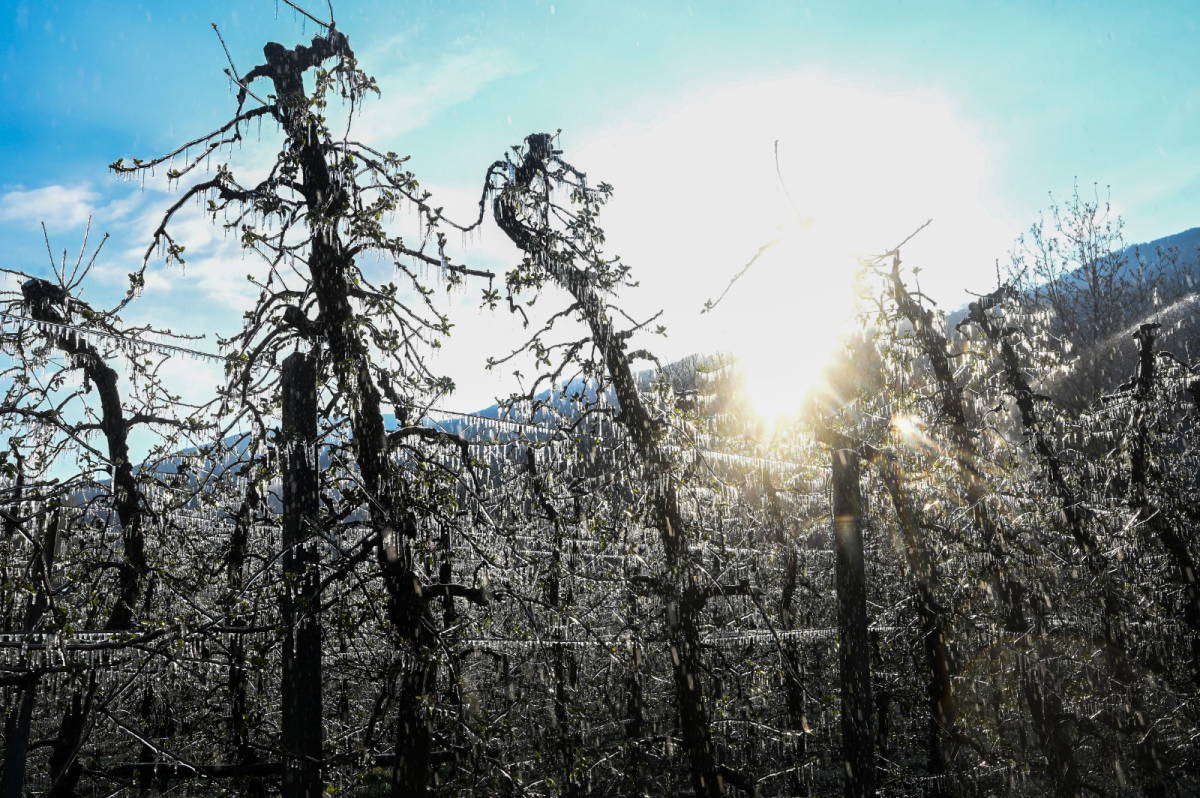 İtalya'ya gelen kutup havasına çözüm olarak buz koruması!