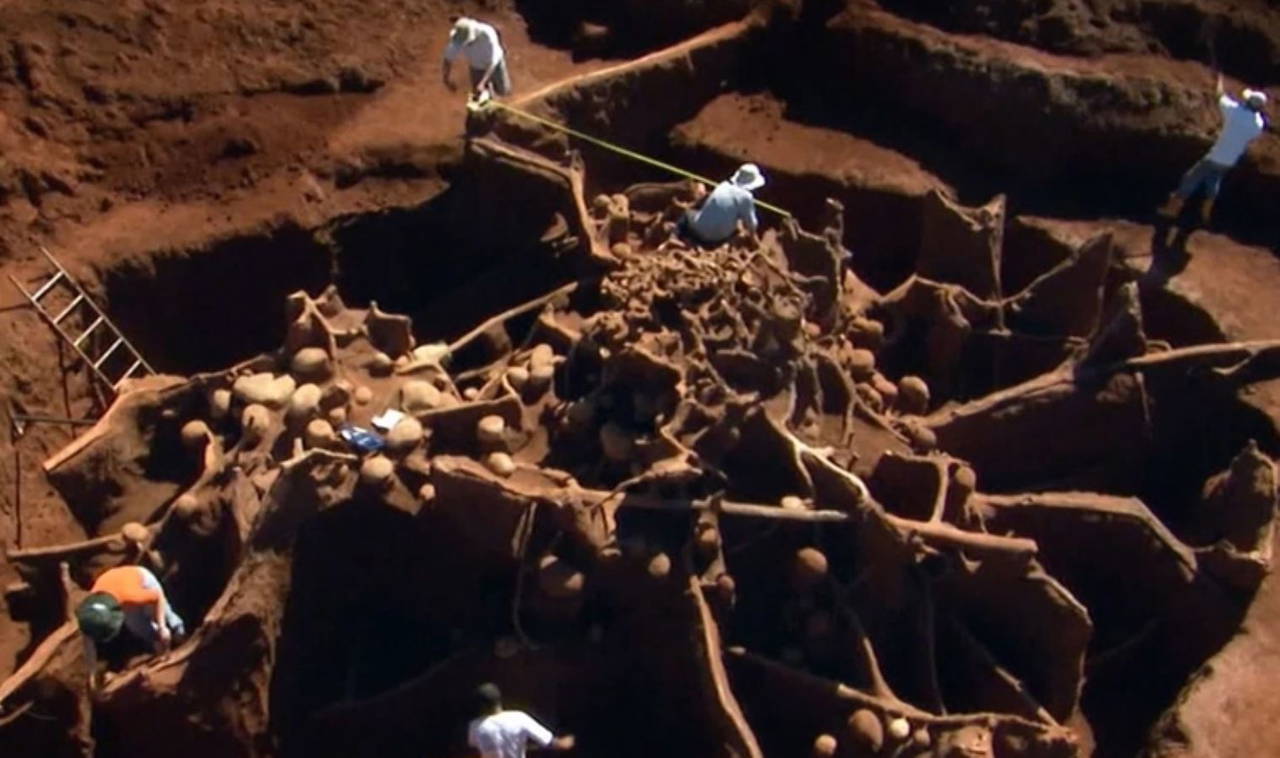 Karıncalar hakkında bilinmeyen 10 gerçek!