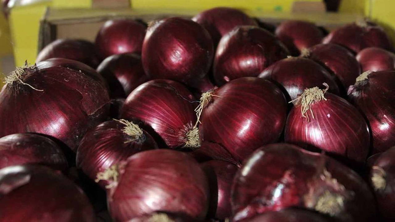 Hafızanızı güçlendirmek için bu besinleri tüketin !