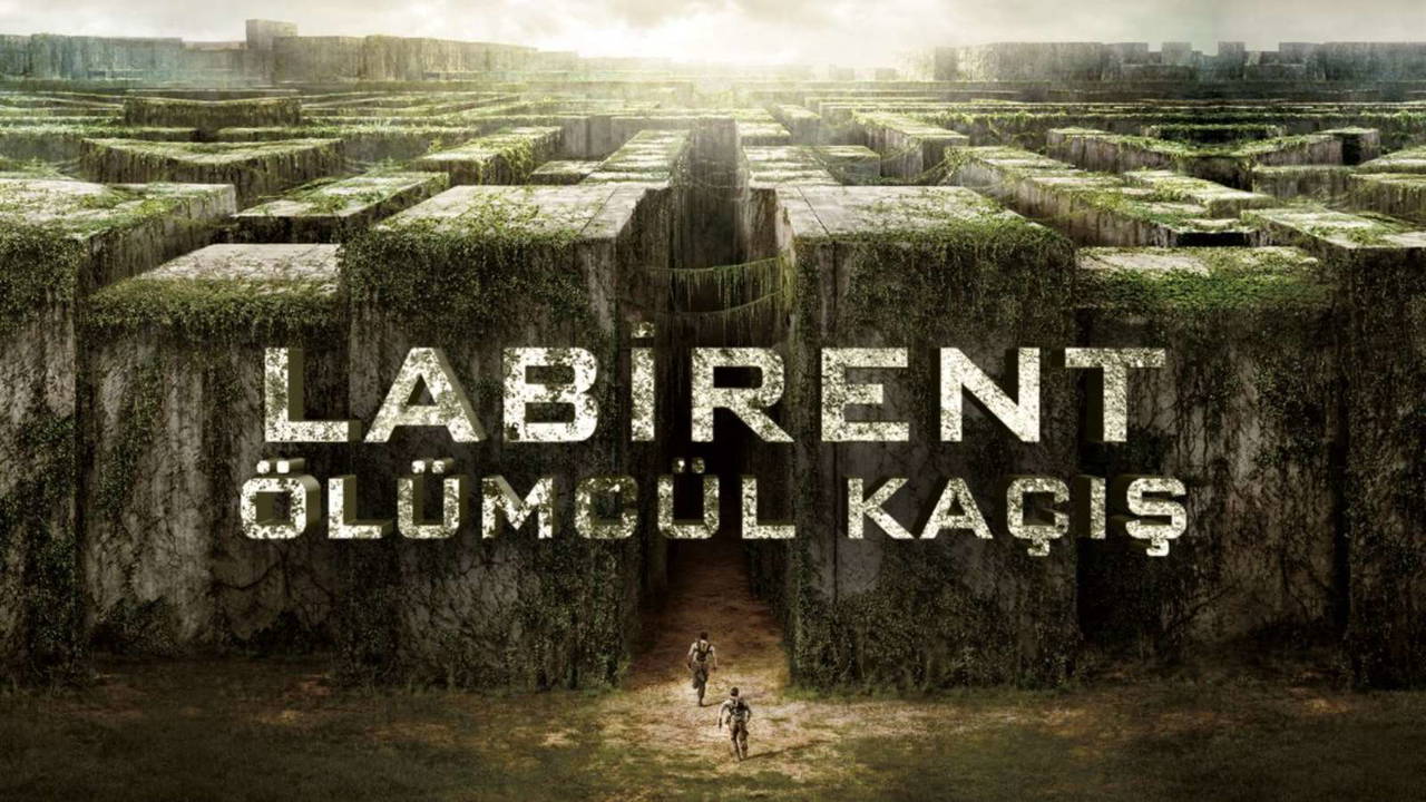 TV yayın akışı 18 Haziran Pazar! Bugün televizyonda hangi dizi ve filmler var?