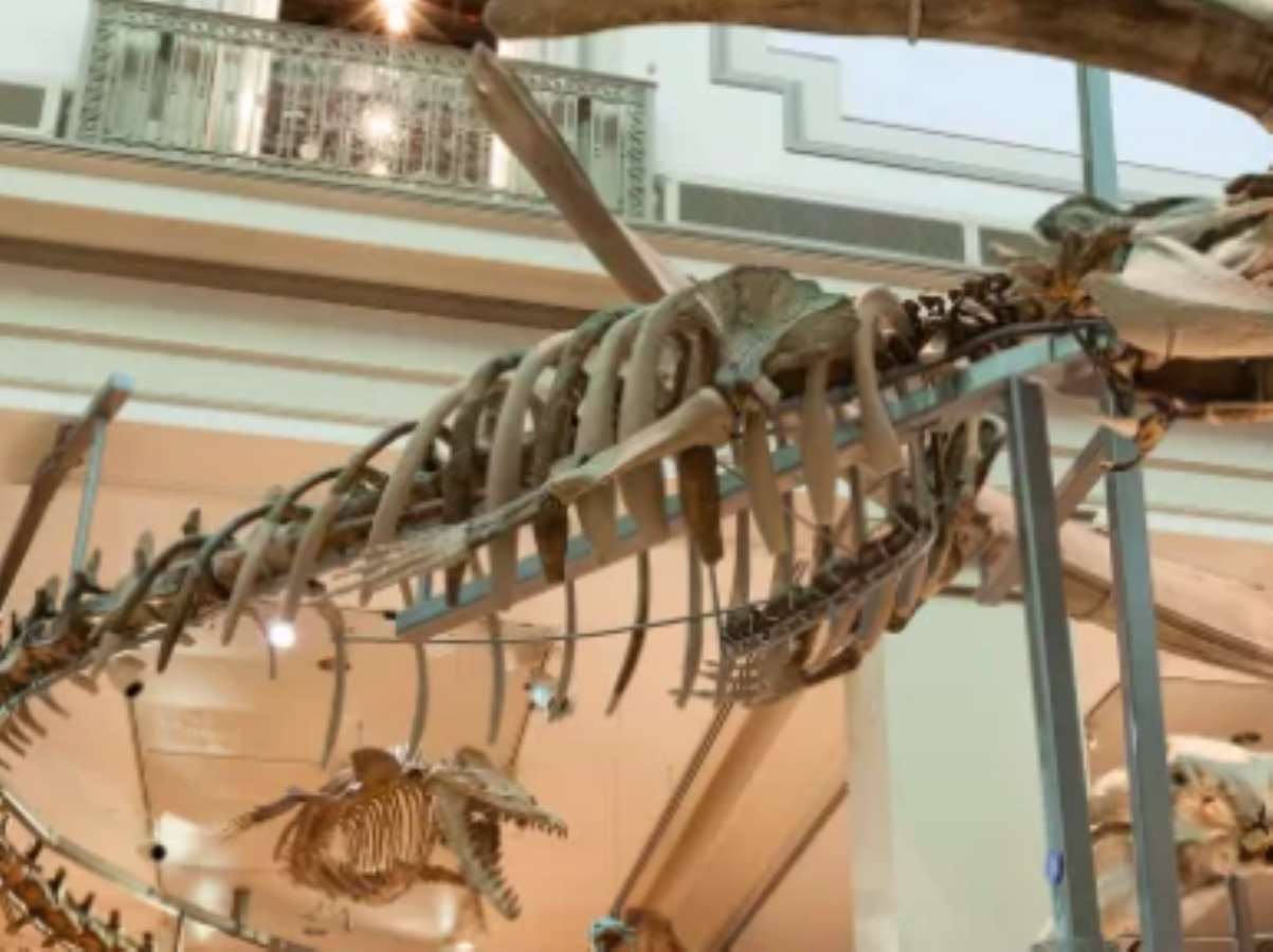 Sanal müze turlarıyla kültürel mirası evde keşfetmek