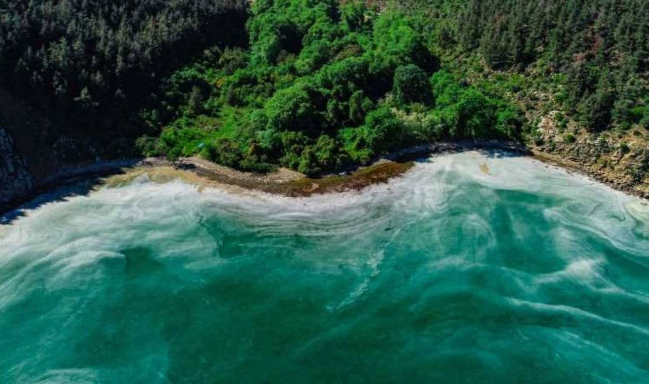 İstanbul'a yakın en iyi kamp alanları