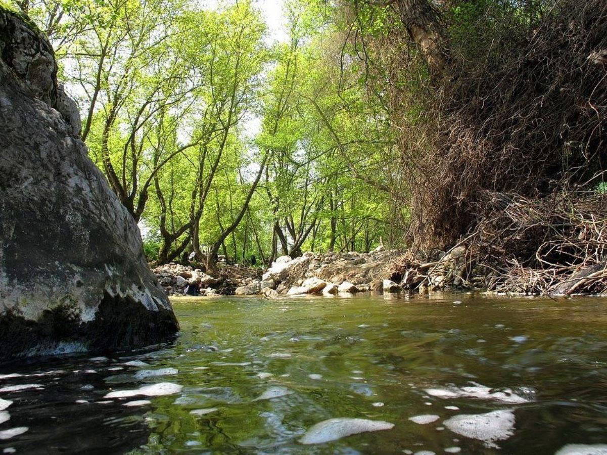 İstanbul'a yakın en iyi kamp alanları