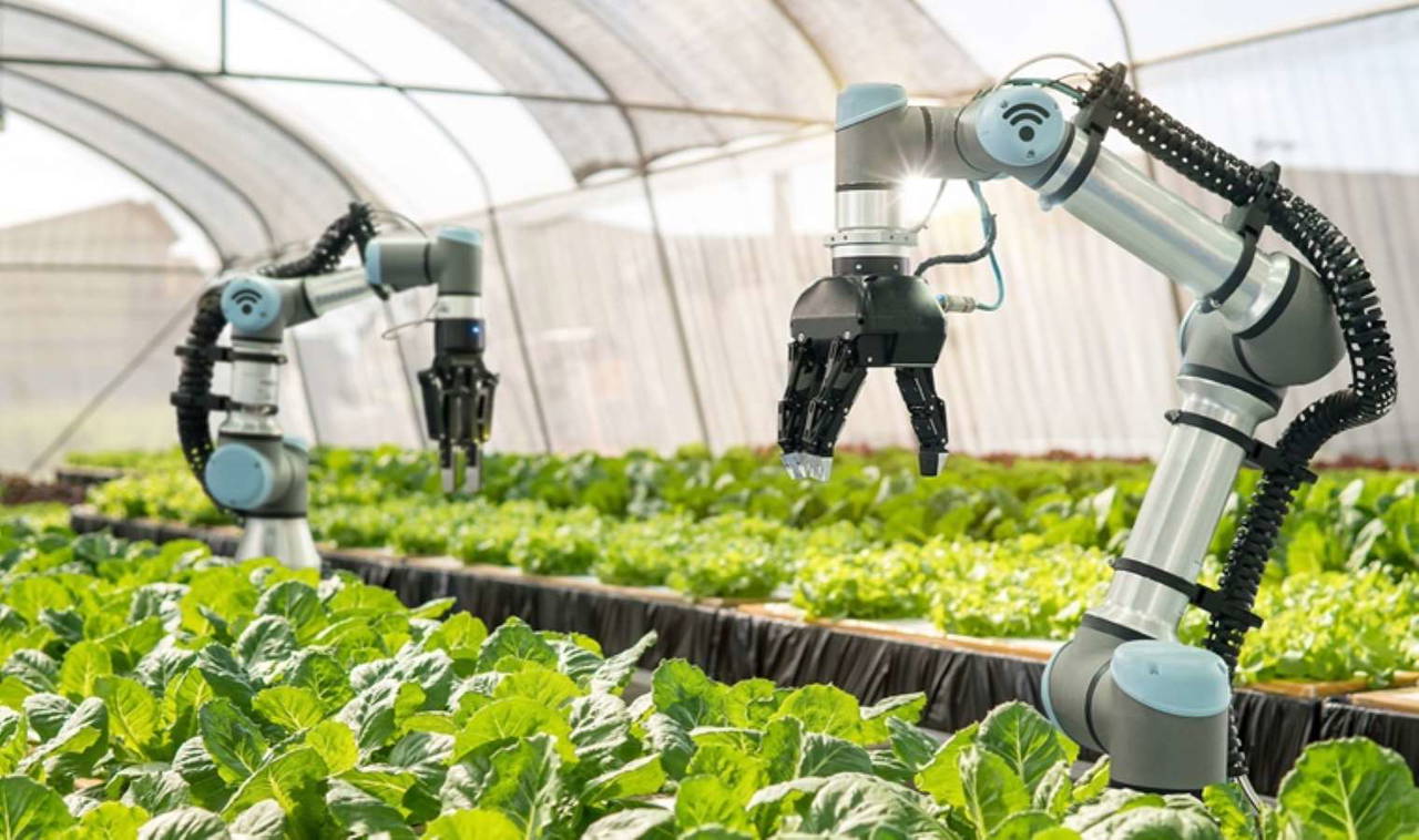 Yapay zekanın hayatımıza katacağı en parlak buluşlar