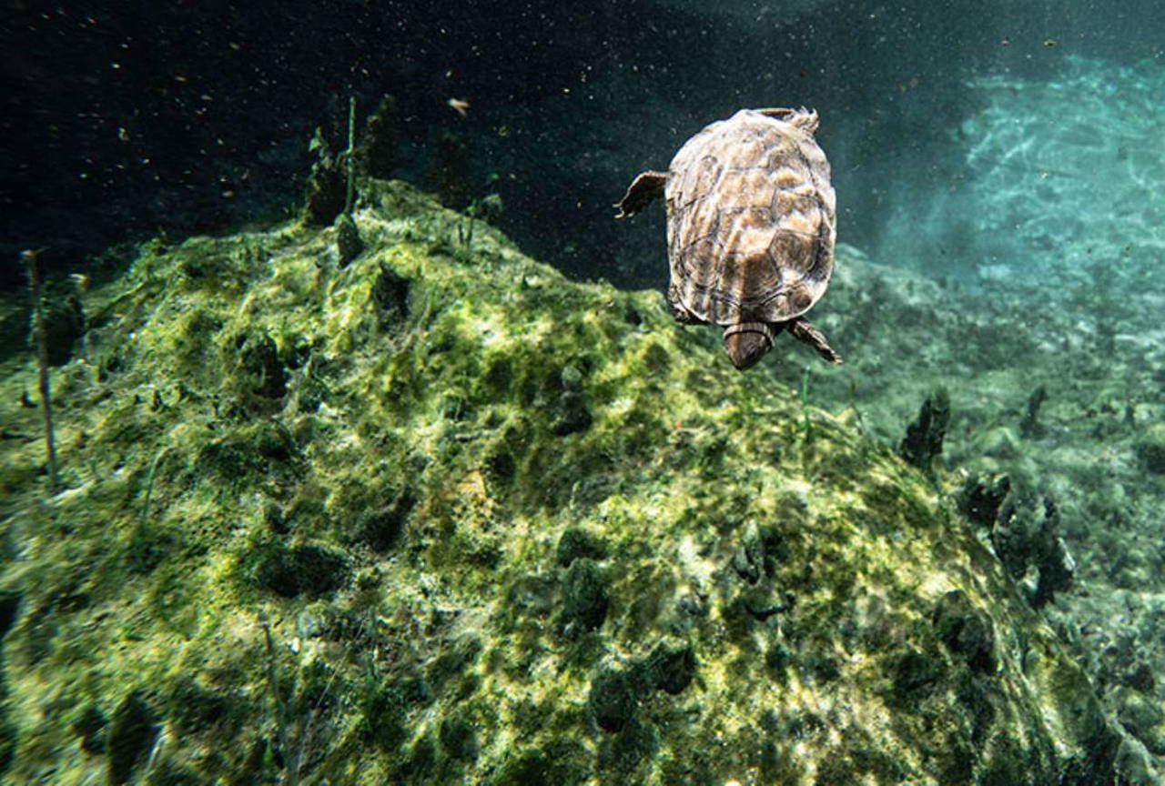 Kaklık Mağarası nerede?  Kaklık Mağarası 2023 giriş ücreti ne kadar? Kaklık Mağarası'na nasıl gidilir?