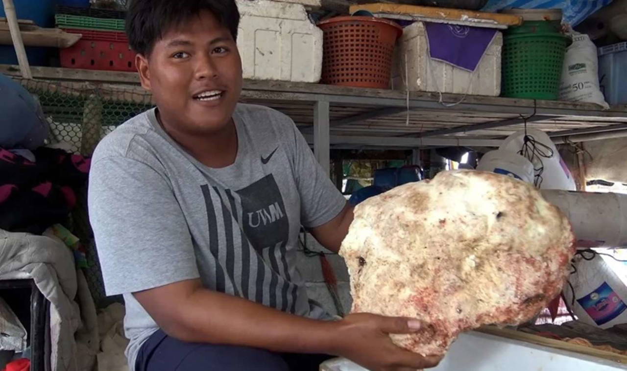 Ölü balinanın bağırsağından 14 milyon TL değerinde bir servet çıktı