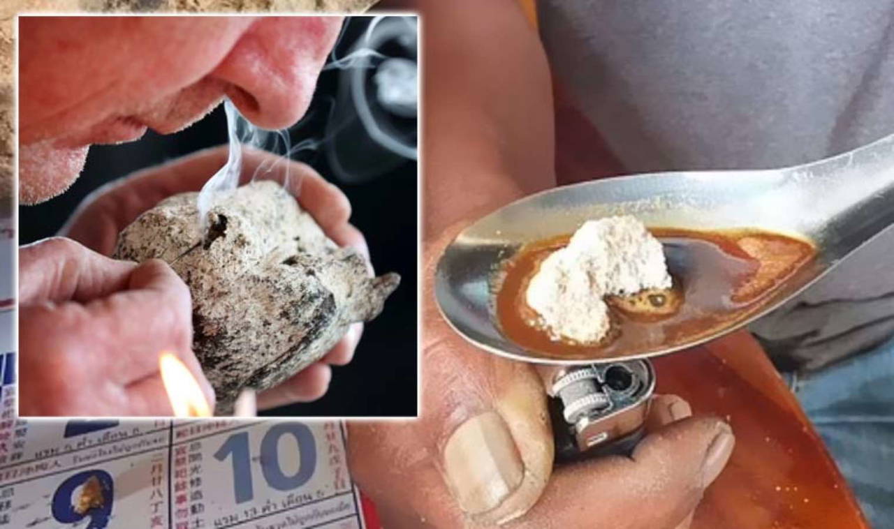 Ölü balinanın bağırsağından 14 milyon TL değerinde bir servet çıktı