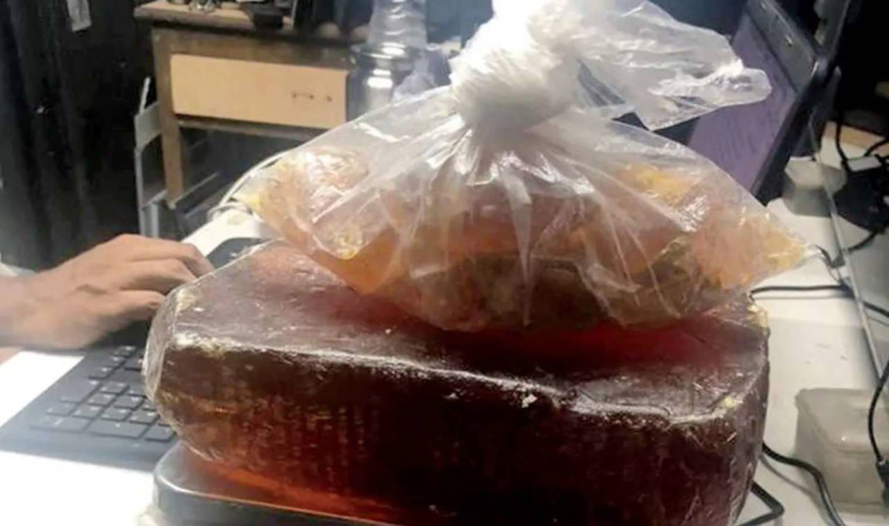 Ölü balinanın bağırsağından 14 milyon TL değerinde bir servet çıktı