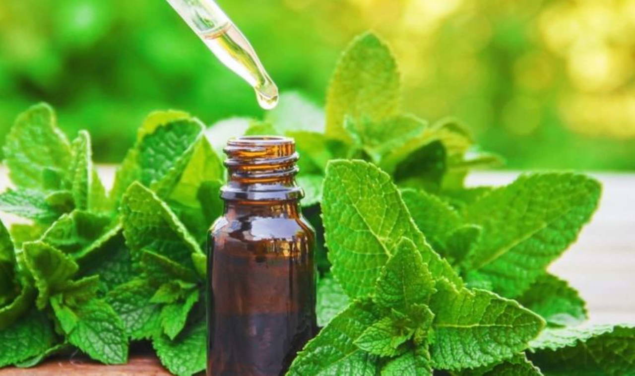 Baş ağrısı ve burun tıkanıklığına kesin çözüm: Sinüzite iyi gelen 7 doğal yöntem