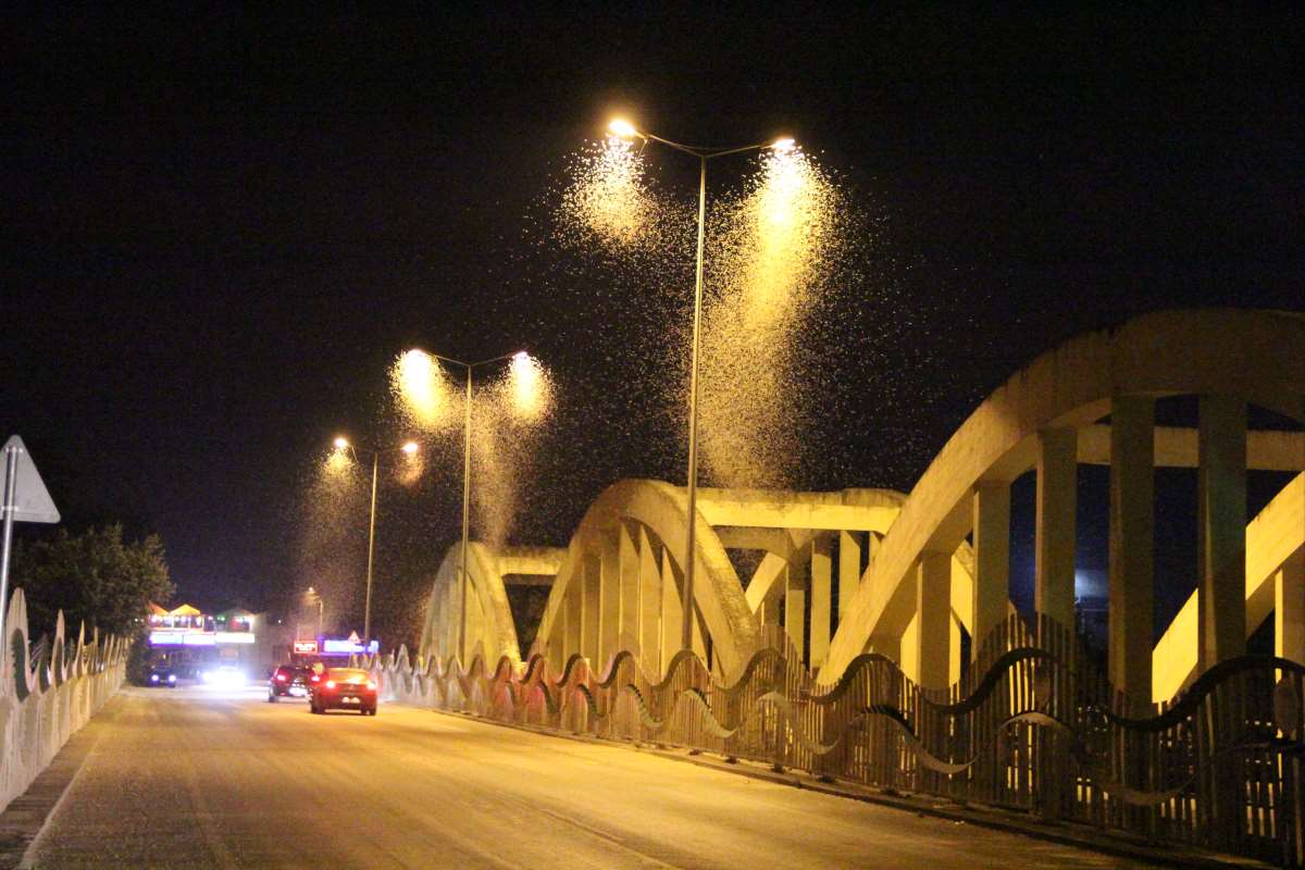 Sakarya'da 
