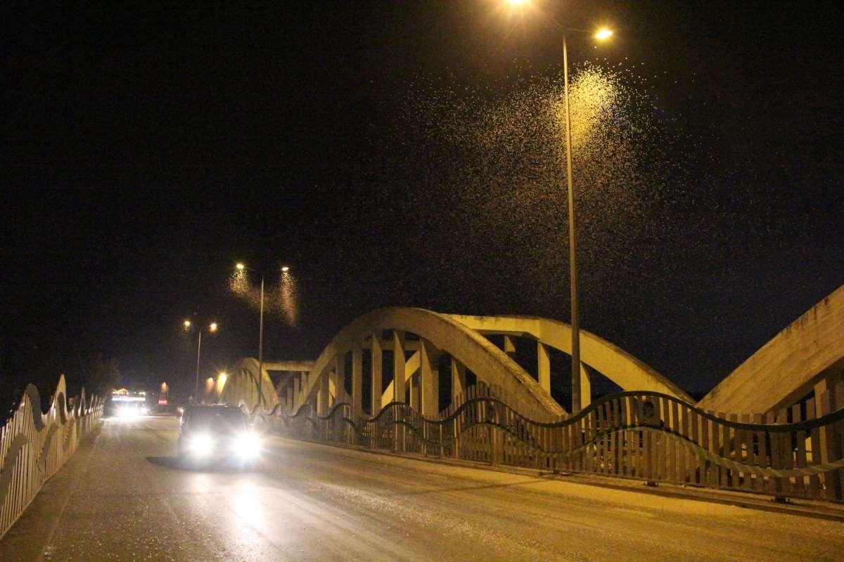 Sakarya'da 