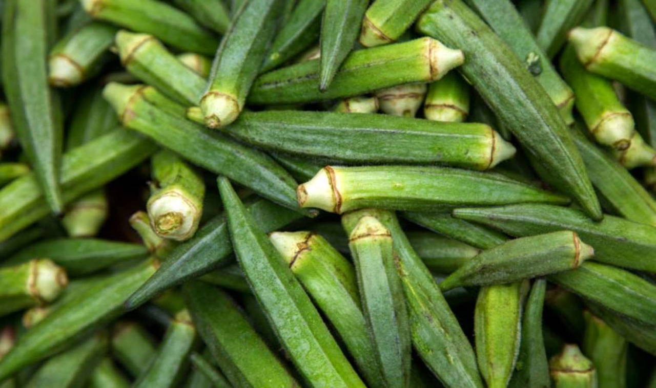 Çok suya ihtiyaç duymadan yetiştirebileceğiniz 7 sebze!