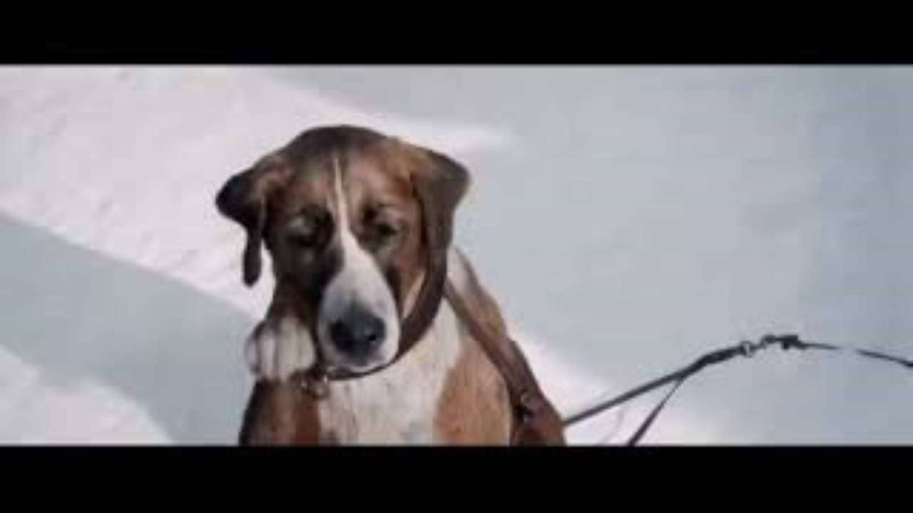 TV yayın akışı 23 Ağustos Çarşamba! Hangi kanalda ne var, günün filmleri ve dizileri neler?