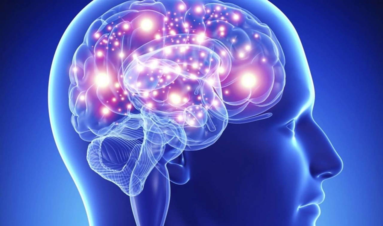 Dünyanın en kısa IQ testi: Katılımcıların yüzde 83'ü çuvallıyor!