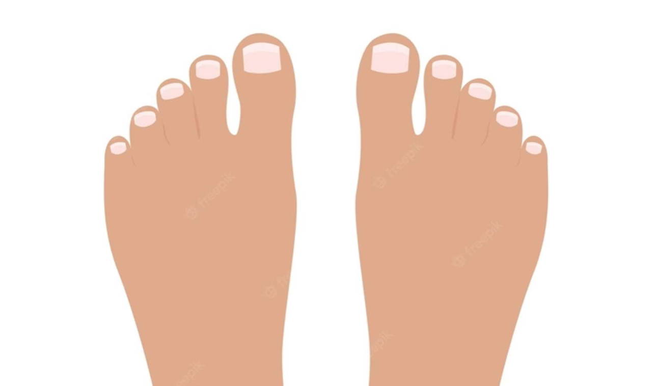 İnsan vücudunun matematiği: Neden 10 ayak parmağımız var?