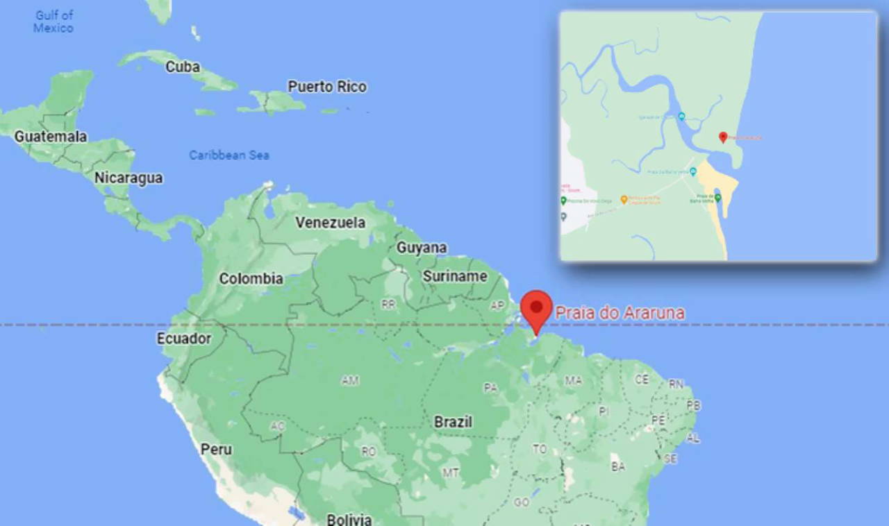 Amazon ormanında bulunan ölü balinanın gizemi