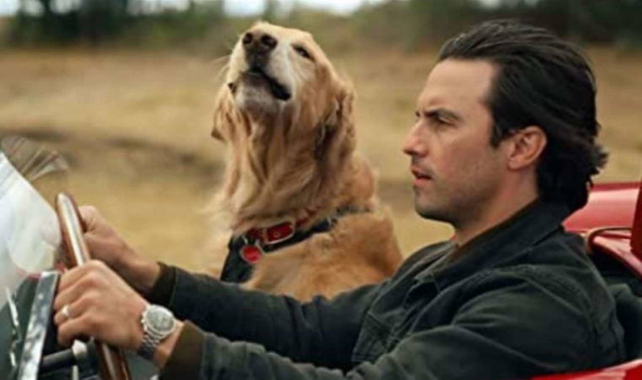 TV yayın akışı 17 Eylül Pazar! Hangi kanalda ne var, günün filmleri ve dizileri neler?