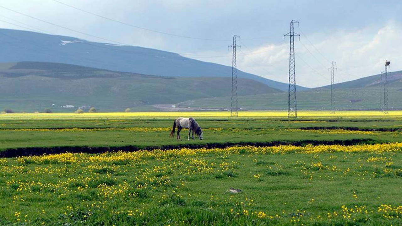 Ardahan'ın ilçeleri! Ardahan'ın kaç ilçesi var? Ardahan'ın ilçe nüfusları kaç? Ardahan'ın ilçe belediye başkanları kim?