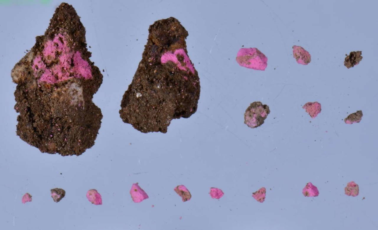 Kütahya'da şaşırtan keşif:  2 bin yıllık makyaj malzemeleri bulundu! 