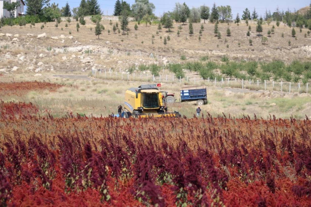 Afyonkarahisar'ın ilçeleri! Afyonkarahisar'ın kaç ilçesi var? Afyonkarahisar'ın ilçe nüfusları kaç? Afyonkarahisar'ın ilçe belediye başkanları kim?