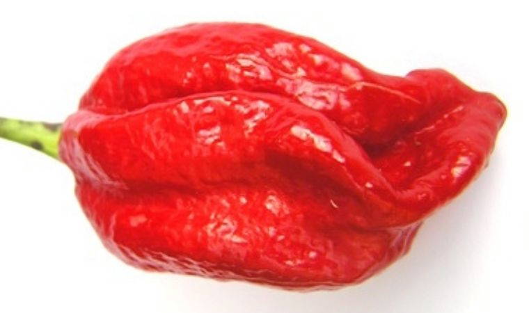 Cesareti olanlar denesin: Dünyanın en acı 7 biberi