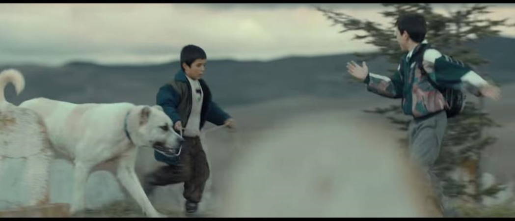 Popüler olmayan en iyi Türk filmleri: Gizli hazineler