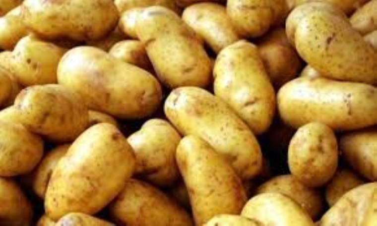 Gıdaların bozulmasına sebep oluyor, zehirlenmelere yol açıyor: Buzdolabında saklanmaması gereken 10 besin