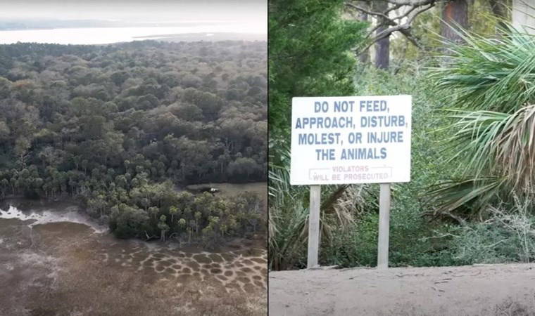 Issız adanın derin sırrı: Değil girmek, yaklaşmak bile yasak!