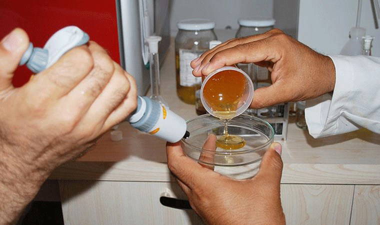 Tarım ve Orman Bakanlığı'ndan taklit ürün güncel listesi... ASAL Araştırma'dan dikkat çeken anket!