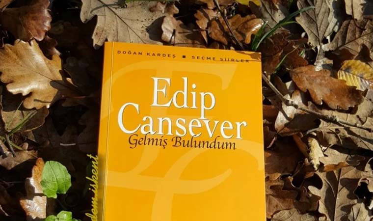 Şubat ayında okumanız gereken şiir kitapları! Şubat ayını aşkla geçirin