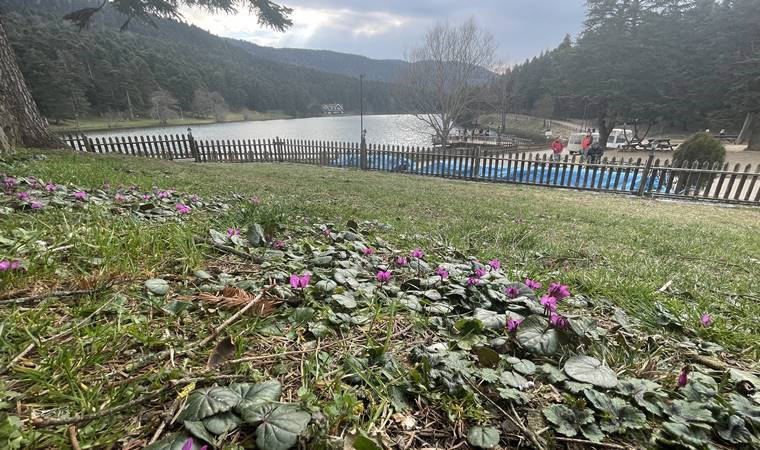 Bolu'da iki mevsim bir arada yaşanıyor