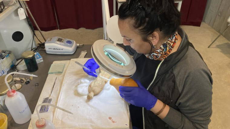 Bozcaada'da Tenedos Antik Kenti kazılarında çok sayıda çocuk mezarı bulundu!