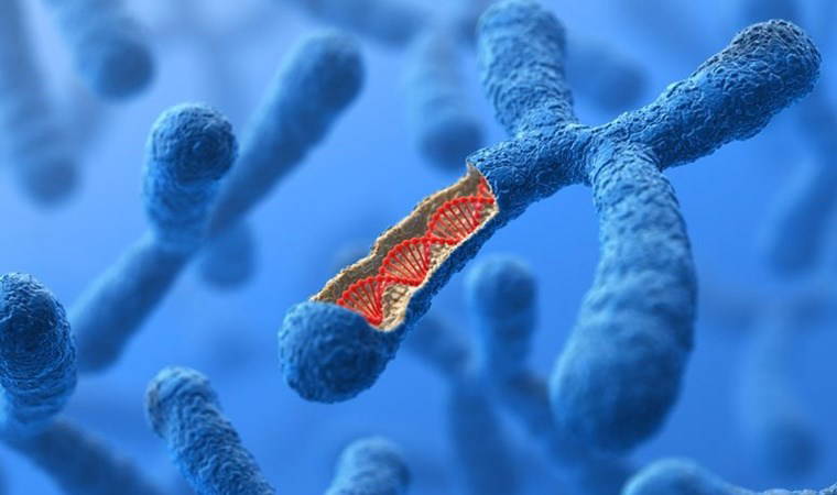 DNA sonuçlarında 'aile içi ilişki' patlaması! Oranlar korkuttu...
