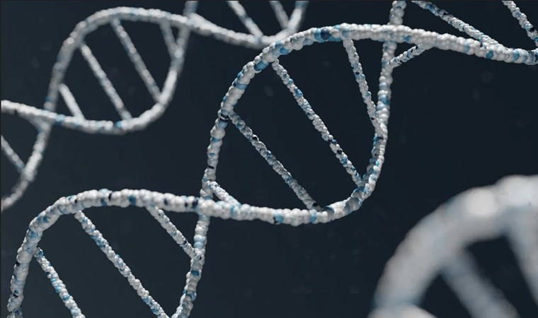 DNA sonuçlarında 'aile içi ilişki' patlaması! Oranlar korkuttu...