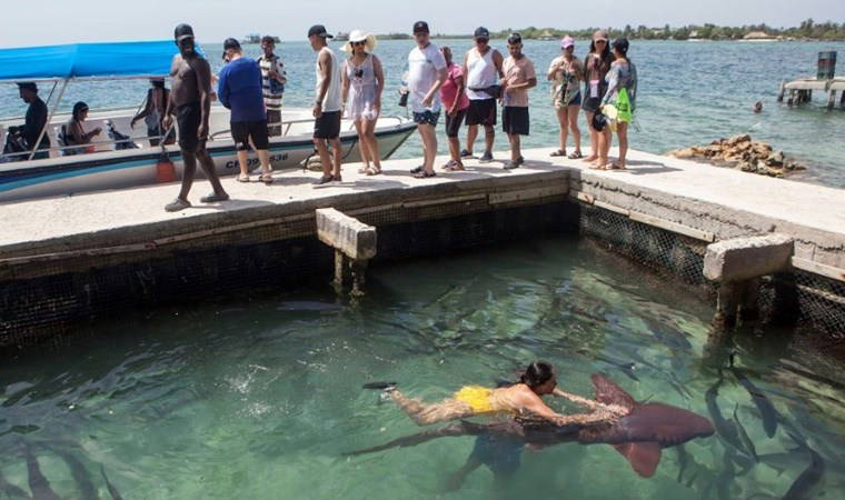 'Dünyanın en kalabalık yeri...' 10 dönümlük adada 1200 kişi nasıl yaşıyor?