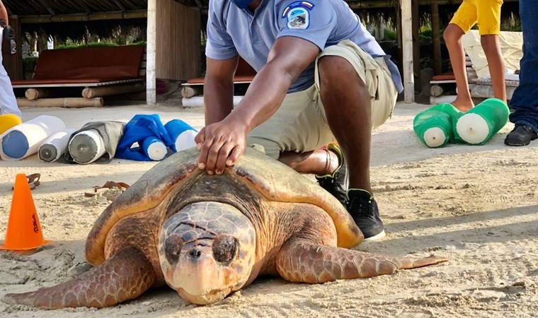 'Dünyanın en kalabalık yeri...' 10 dönümlük adada 1200 kişi nasıl yaşıyor?