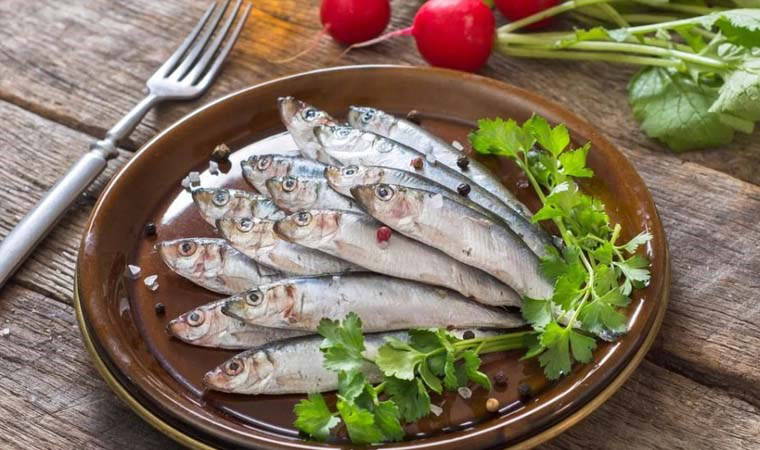 Mart ayı balıkları: Mart ayında hangi balıklar yenir?