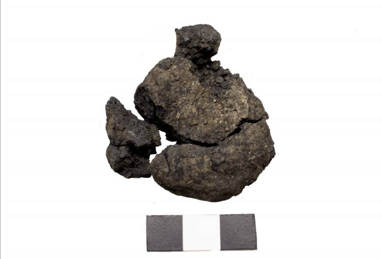 Dünyanın en eski ekmeği Konya'da bulundu: 8 bin 600 yıllık! Başka örneği yok...