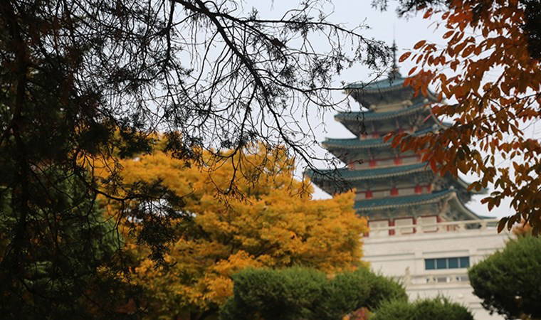 Knight Frank raporu: Ultra zengin sayısının en fazla arttığı ülke Türkiye oldu