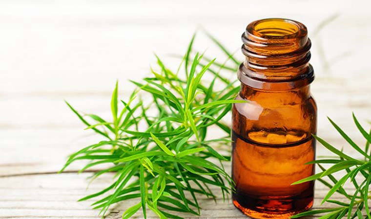 Doğadan gelen şifa ile ağrısız ve hızlı çözümler: Uçuğa iyi gelen 7 etkili doğal yöntem