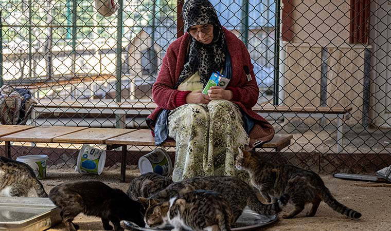 Müstakil evinin bir katını sokak kedilerine yuva yaptı