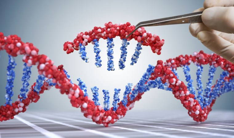 Tarihin en uzun salgını '15 milyon yıl' sürdü, varlığını hâlâ koruyor