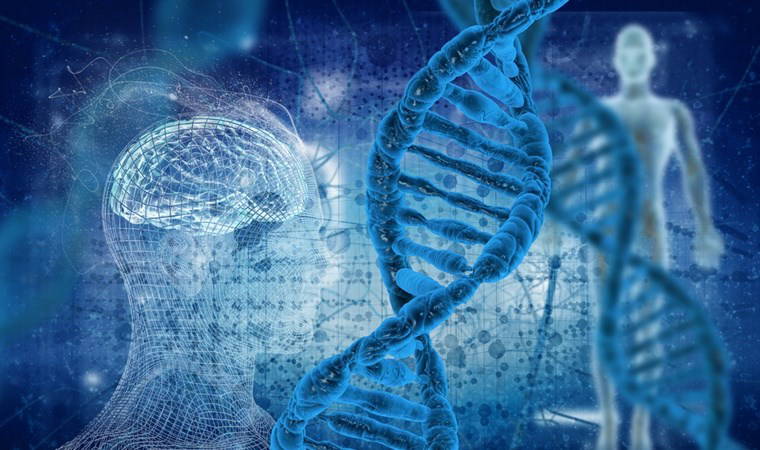 Tarihin en uzun salgını '15 milyon yıl' sürdü, varlığını hâlâ koruyor